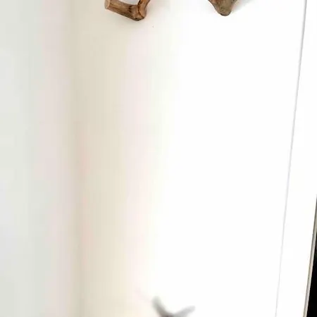 Appartement Urlaub In Unserem „kleinen Haus“