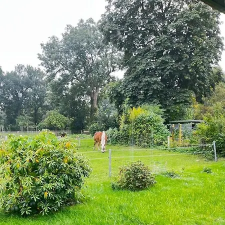 公寓 Urlaub In Unserem „kleinen Haus“
