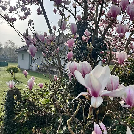Urlaub In Unserem „kleinen Haus“ Nindorf (Dithmarschen)